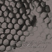 Illuminate The Silence - Silverhoney 200 x 200